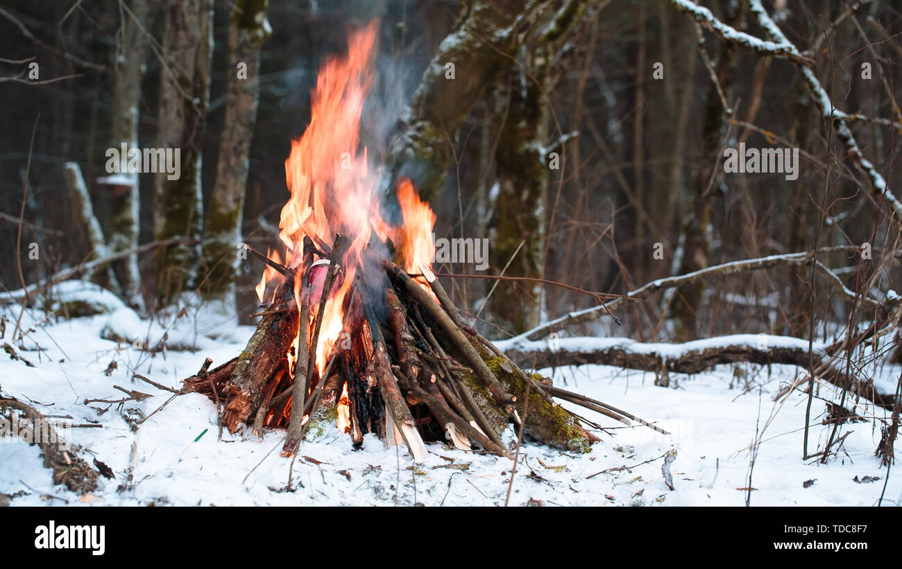 Grand feu de camp dans la forêt d'hiver libre Banque D'Images