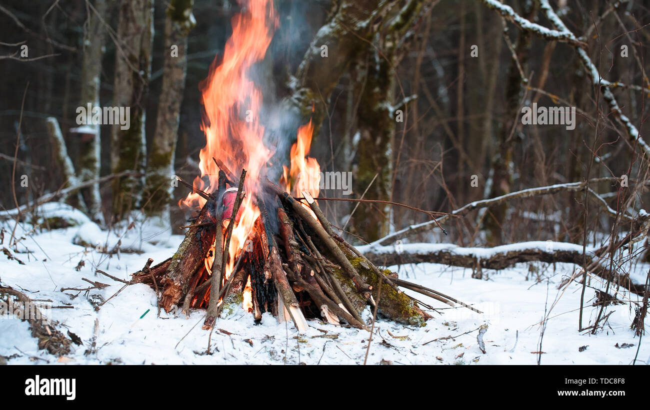 Grand feu de camp dans la forêt d'hiver libre Banque D'Images