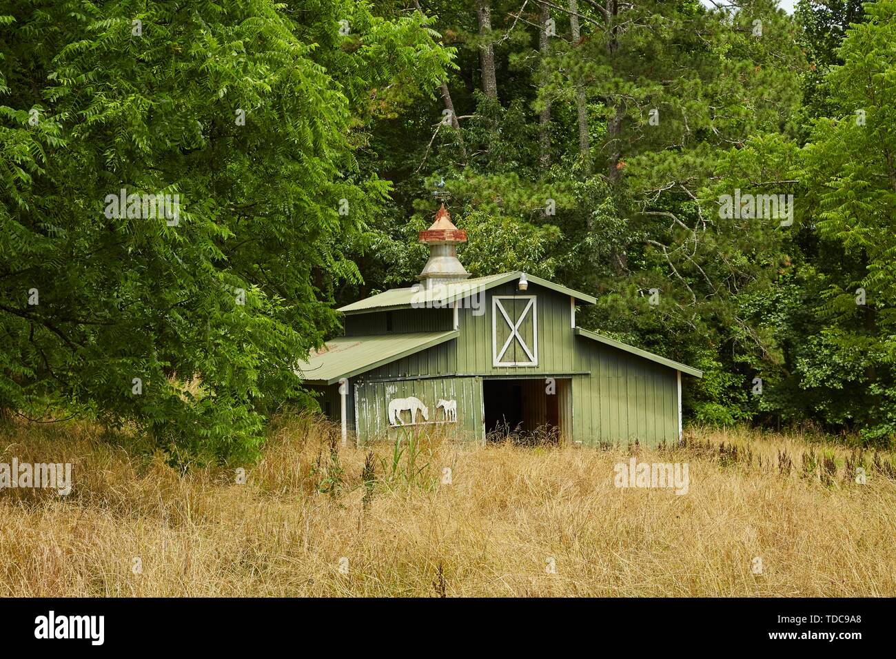 Une vieille grange verte sur un cheval de ferme abandonnée Banque D'Images