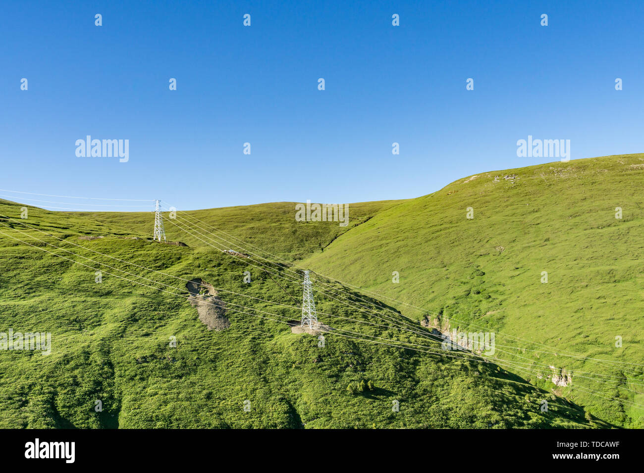 Les prairies alpines le long de la G217 Duku sous l'autoroute l'été, ciel bleu et nuages blancs dans le Xinjiang, Chine Banque D'Images