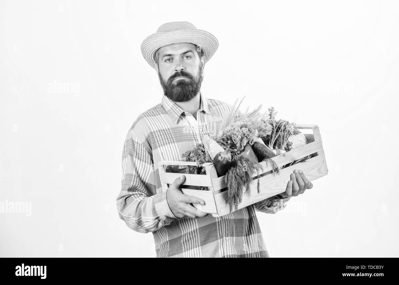 Amoureux de la nature. harvest festival. mature barbu agriculteur. vitamine saisonniers de la nourriture. Fruits et légumes utiles. d'aliments biologiques et naturels. joyeux Halloween. man chef avec de riches récoltes de l'automne. l'humain et la nature. Banque D'Images