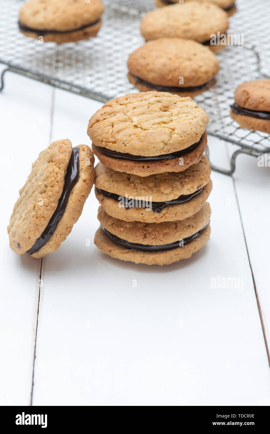 Des biscuits de Kingston. Biscuit australien. Tour de la noix de coco et crème au chocolat avec des biscuits d'avoine au milieu Banque D'Images