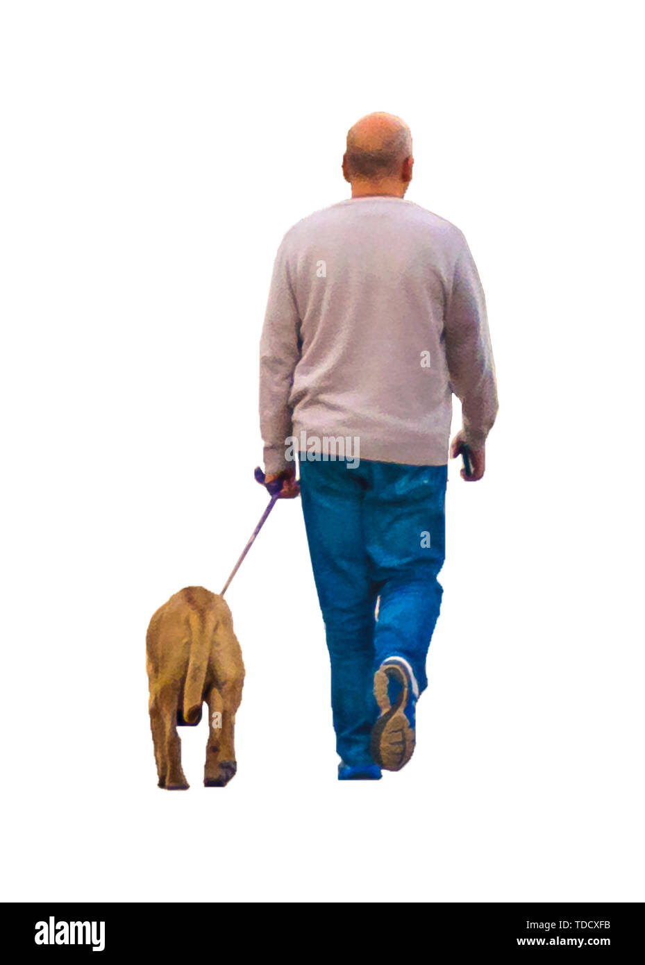 Isolé photo vue arrière des profils homme chauve promenait son chien Banque D'Images