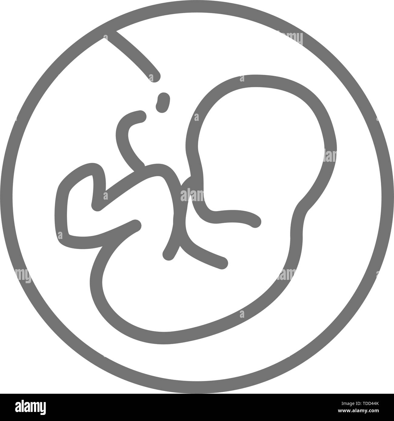 Bébé dans l'utérus, les embryons, foetus humain icône ligne. Illustration de Vecteur