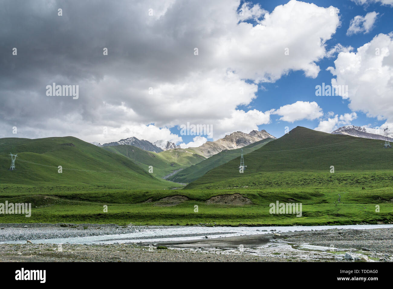 Les prairies alpines le long de la G217 Duku sous l'autoroute l'été, ciel bleu et nuages blancs dans le Xinjiang, Chine Banque D'Images