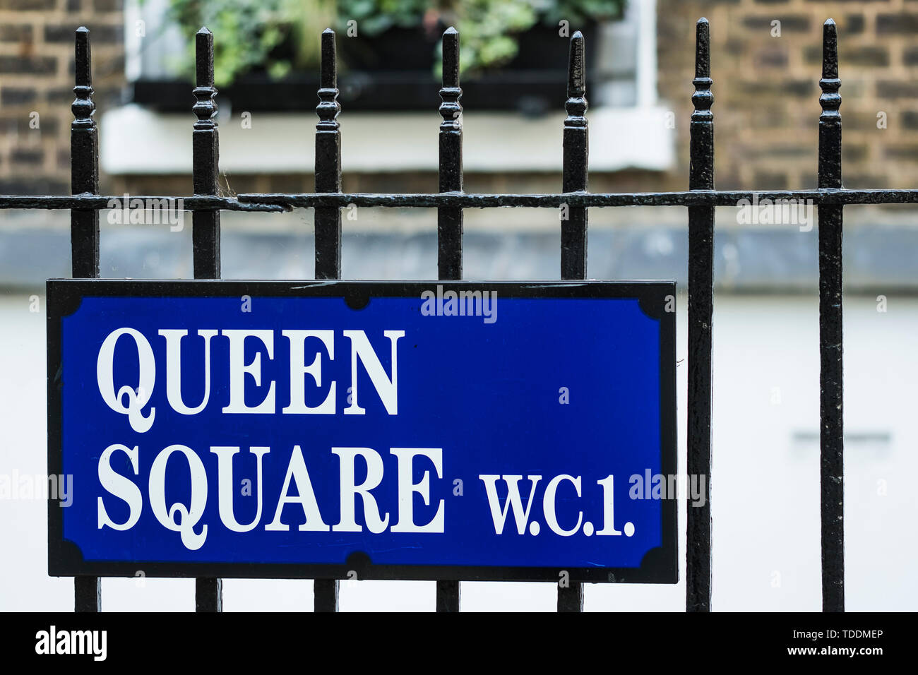 Signe de la rue Queen Square, Bloomsbury, Londres, Angleterre, Royaume-Uni Banque D'Images