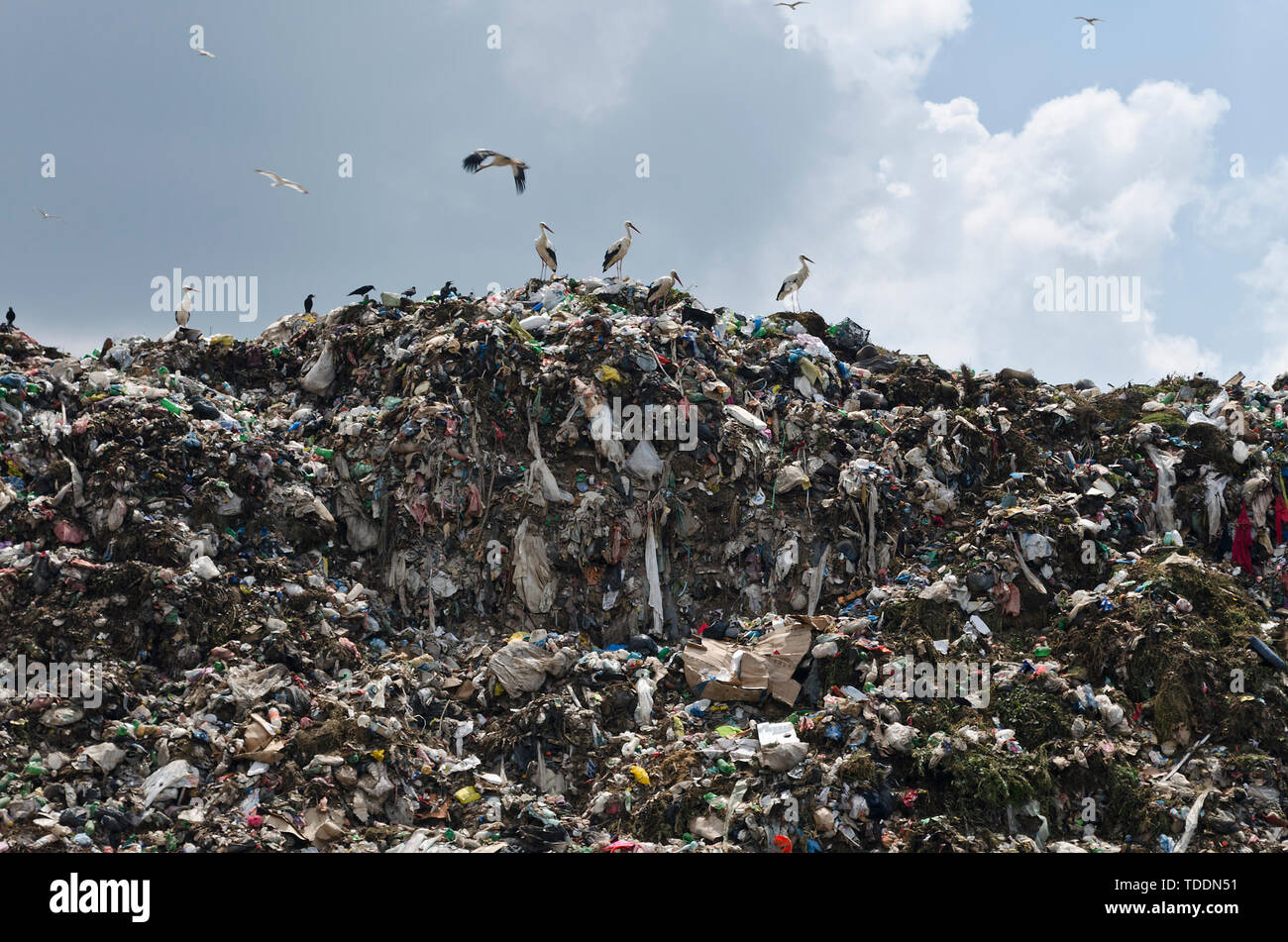 Concept de la pollution. Tas de déchets en décharge ou vidage de la corbeille Banque D'Images