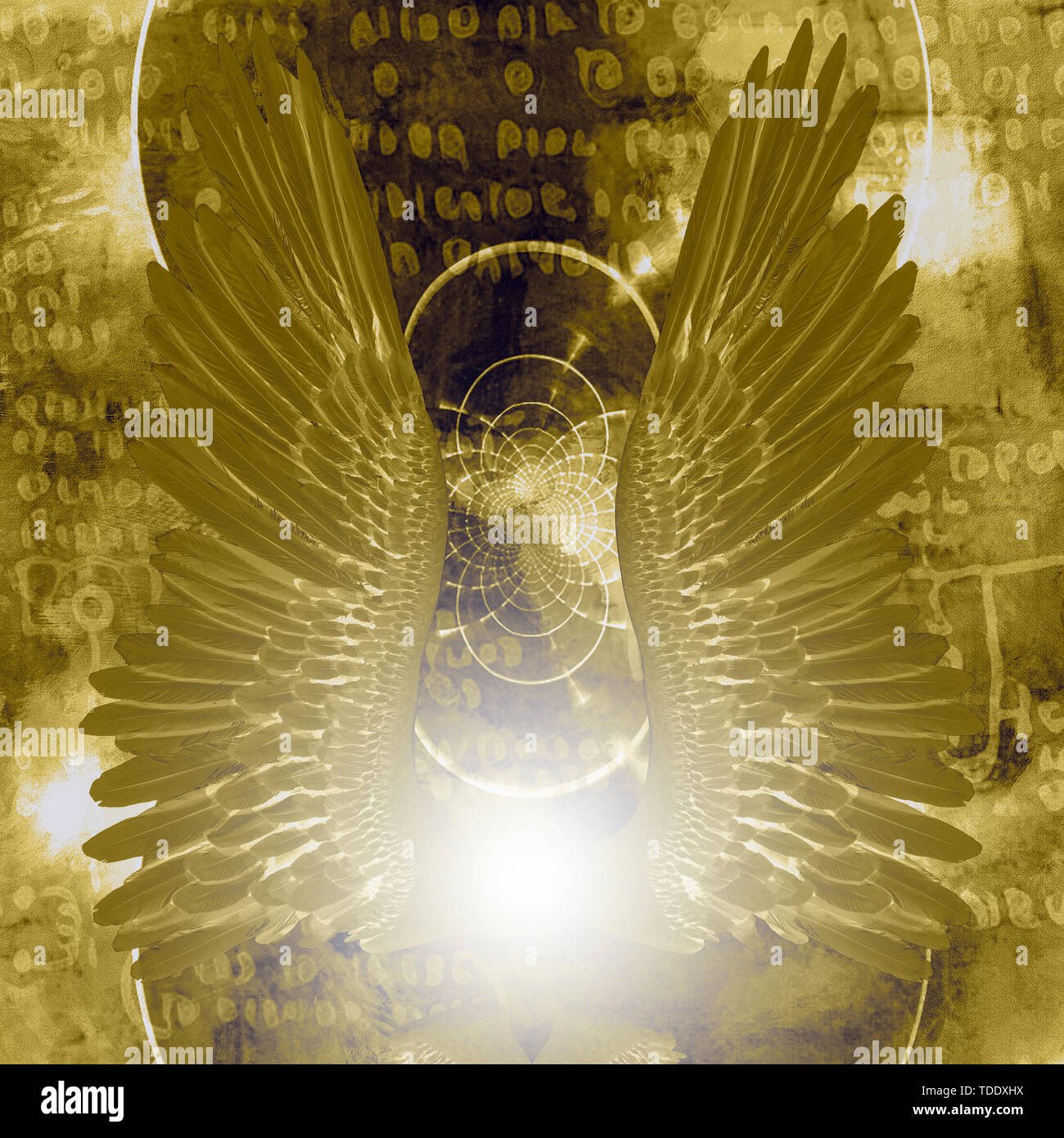 Ailes d'ange et sainte lumière brillante Banque D'Images