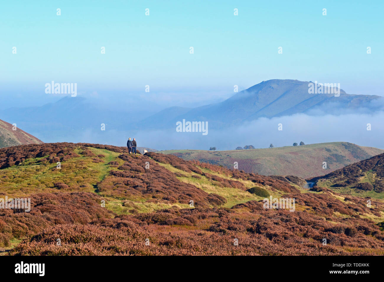 Vue depuis le Long Mynd dans les collines du Shropshire, au Royaume-Uni, avec des pics au-dessus des nuages. Banque D'Images