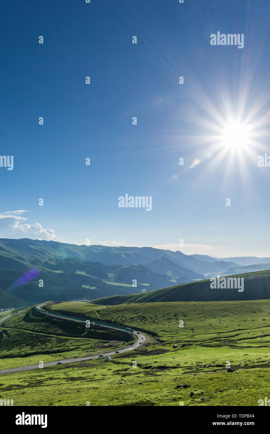 Les prairies alpines le long de la G217 Duku sous l'autoroute l'été, ciel bleu et nuages blancs dans le Xinjiang, Chine Banque D'Images