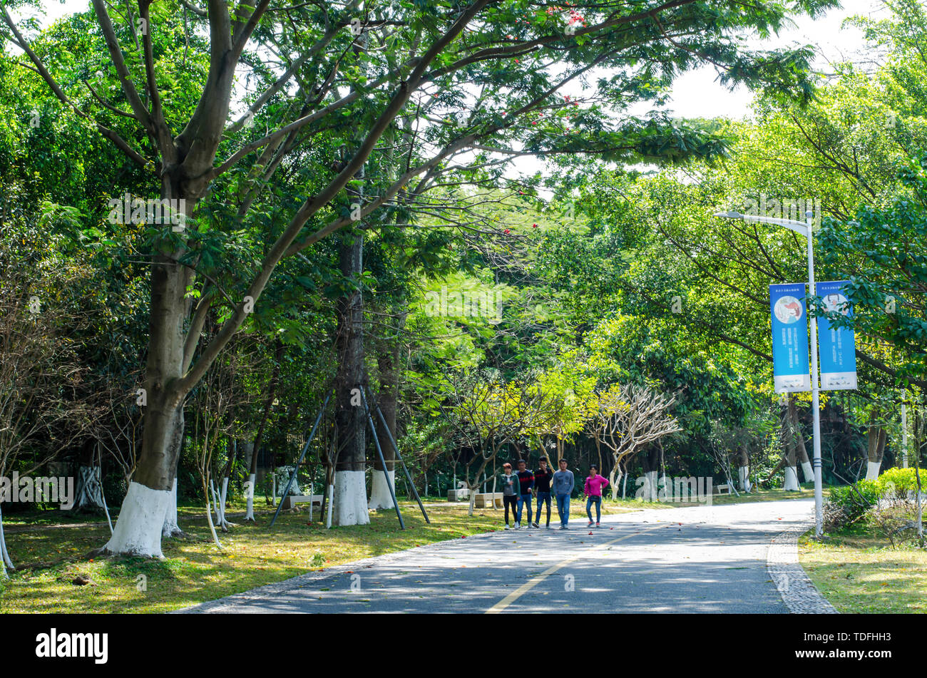 Songshan Lake, Dongguan Banque D'Images