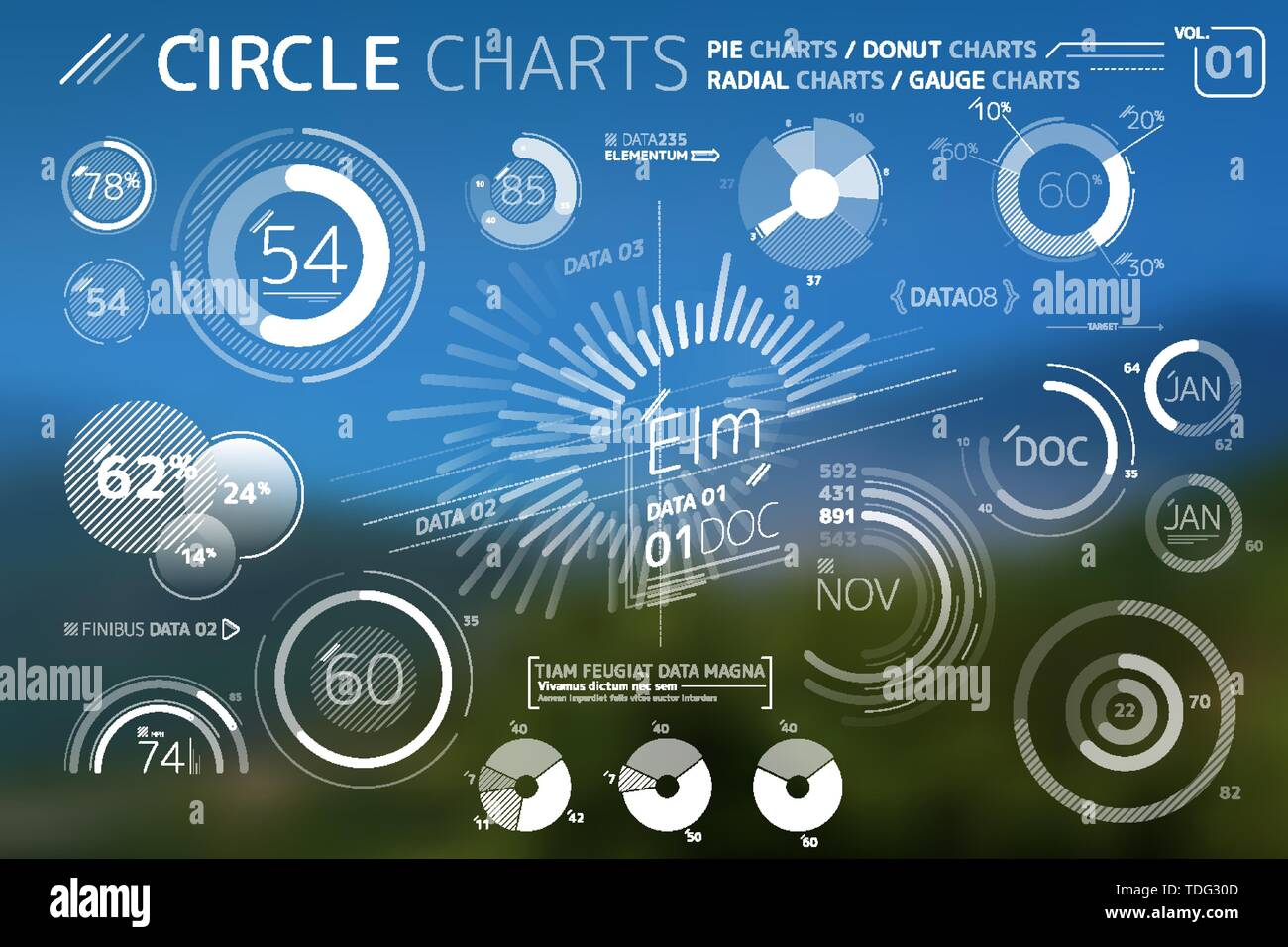 Les graphiques, les diagrammes à secteurs de cercle, tableaux et graphiques Radial Donut Éléments infographique Illustration de Vecteur