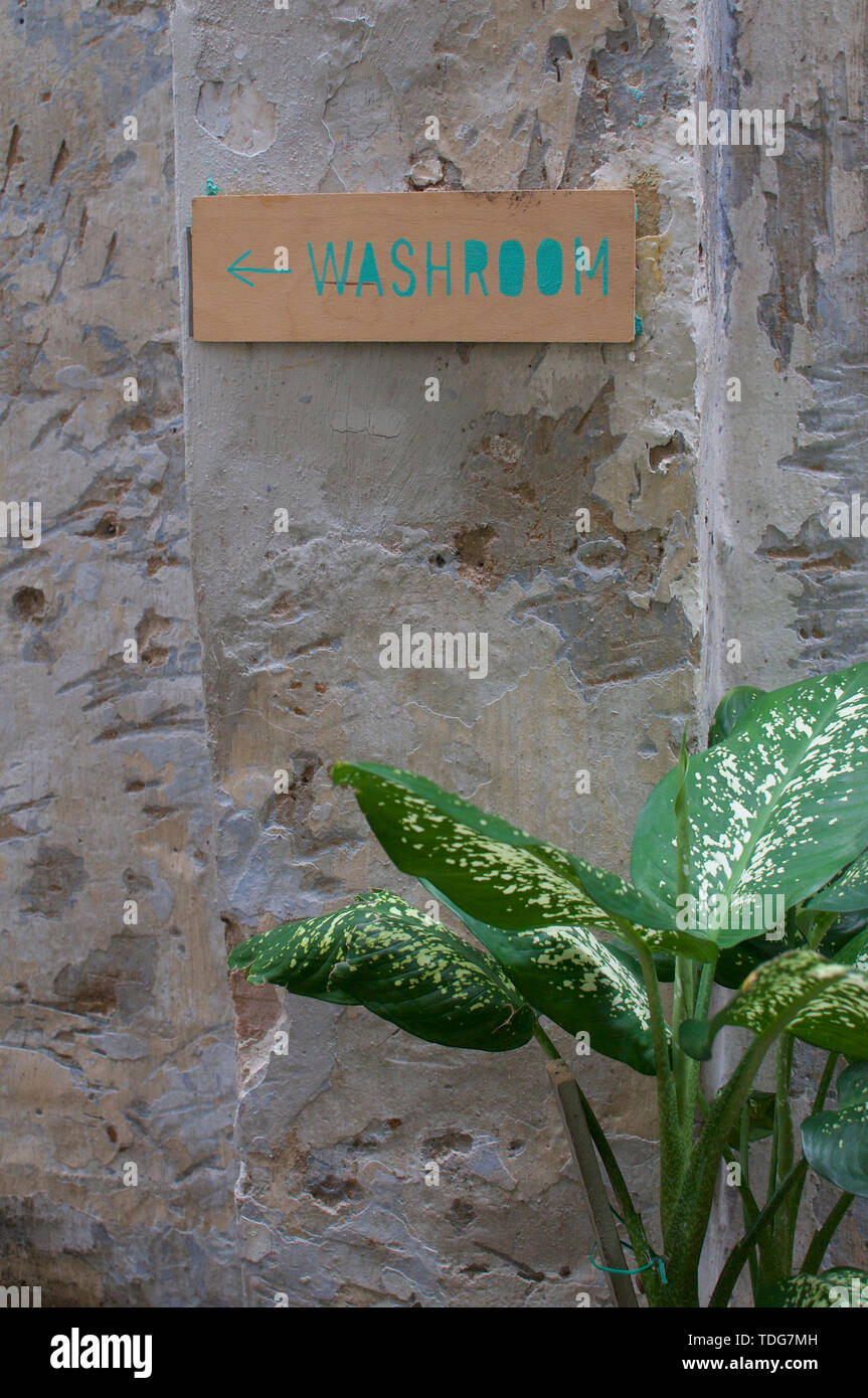 Belle plante Dieffenbachia placé devant un vieux mur arrière-plan avec une toilette signe sur elle Banque D'Images