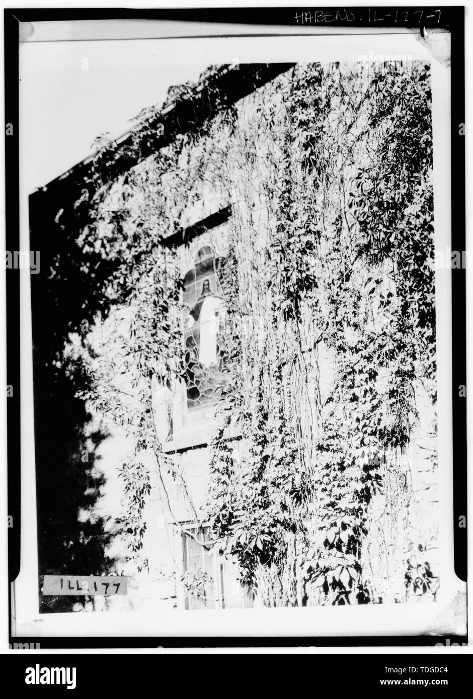 Nord, VITRAIL - First Presbyterian Church, Banc de la rue, la galène, Jo Daviess Comté, IL Banque D'Images