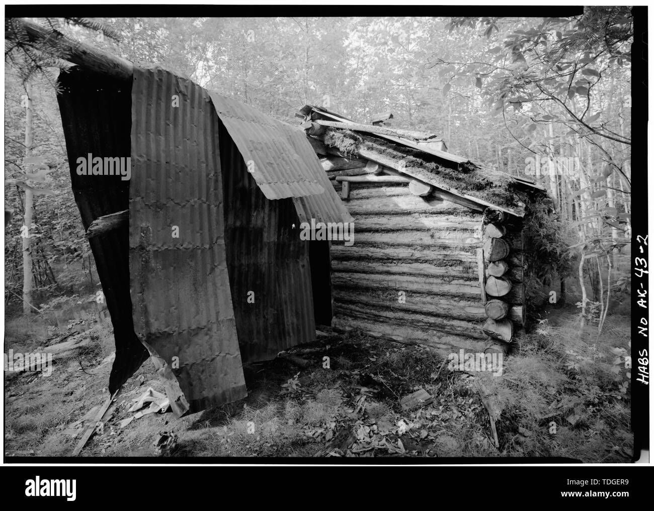 Au nord-est, à l'ouest de l'avant - cabine George McGregor, Yukon River près de Coal Creek, Cercle, Recensement de Yukon-Koyukuk, AK Banque D'Images