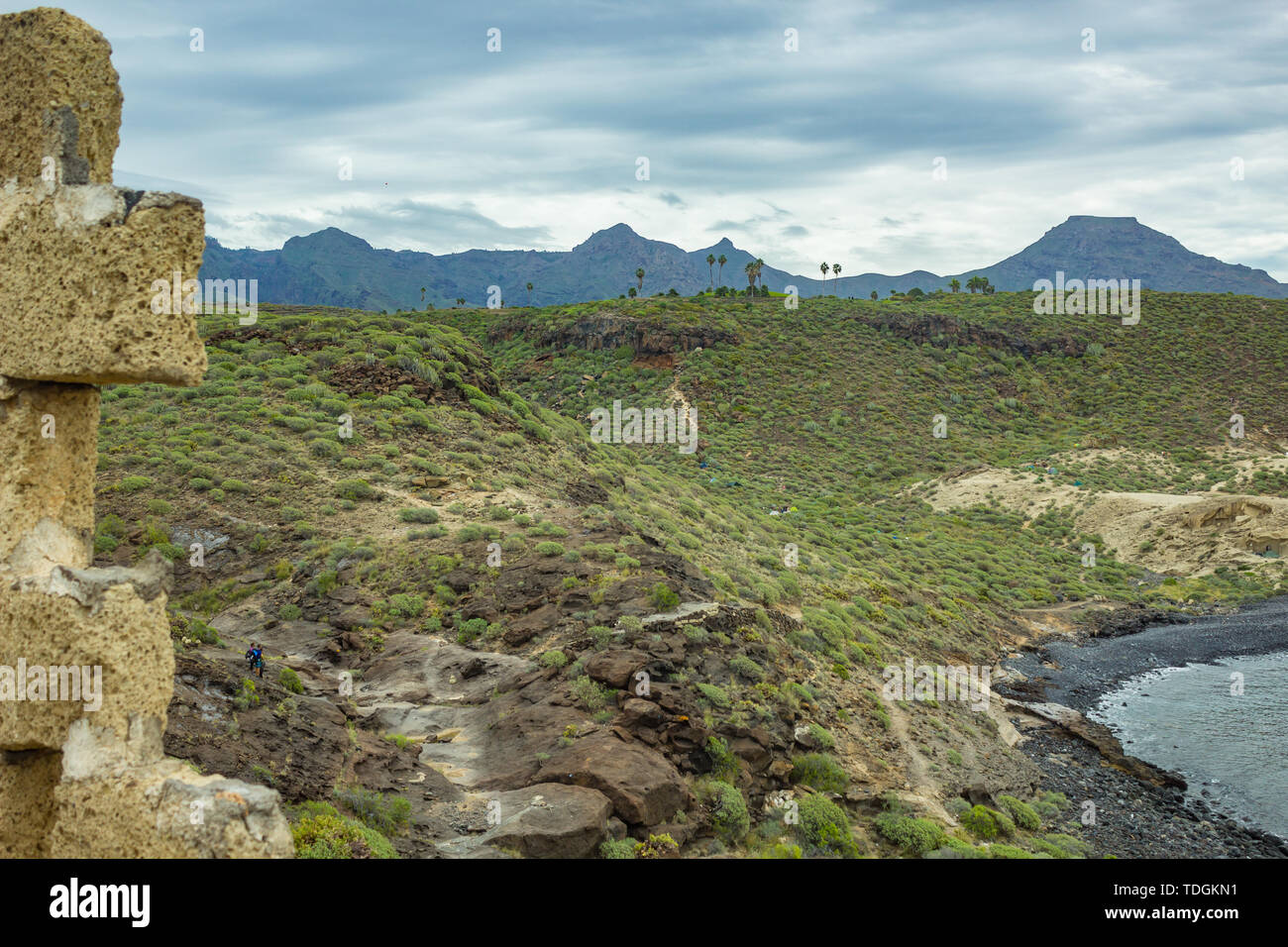 Vue typique de l'ancienne plantation de bananes dans le sud de Tenerife. Où la croissance de l'Hôtellerie Canarians célèbre banane. Vestige de l'agriculture que w Banque D'Images
