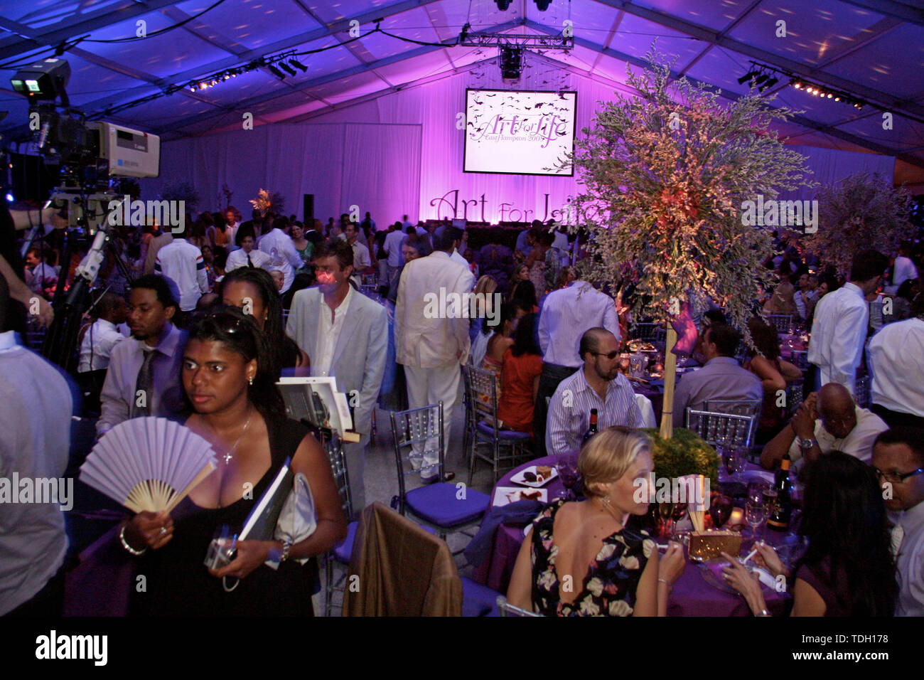 East Hampton, États-Unis. 19 juillet, 2008. Atmosphère à la 9e Annual ART POUR LA VIE D'East Hampton au gala-bénéfice Russell Simmons' East Hampton Estate. Crédit : Steve Mack/Alamy Banque D'Images