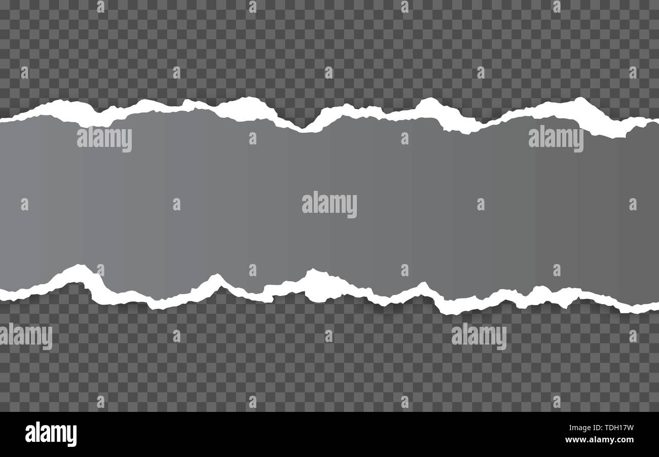 Bordure de papier déchiré horizontale. Arraché au carré blanc horizontal les bandes de papier. Vector illustration. Illustration de Vecteur