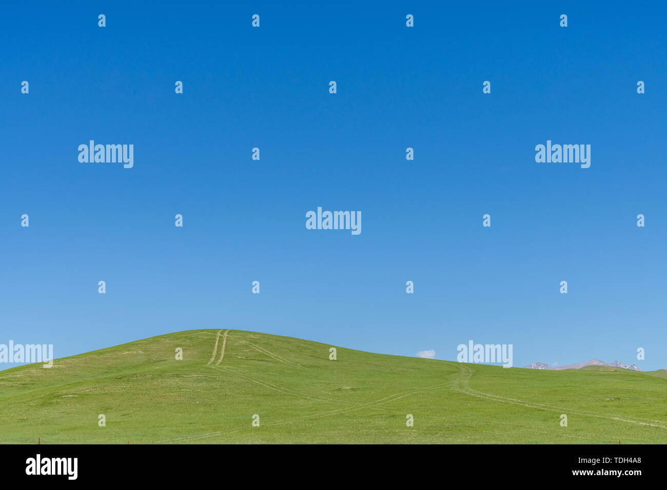 Les prairies alpines le long de la G217 Duku sous l'autoroute l'été, ciel bleu et nuages blancs dans le Xinjiang, Chine Banque D'Images