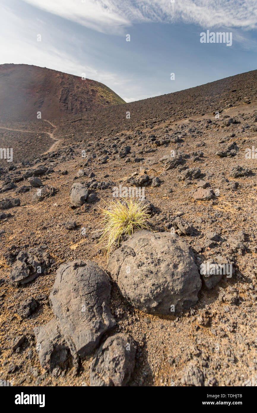 Volcan Capelinhos avec seascape panoramique sur l''île de Faial, Açores, Portugal Banque D'Images