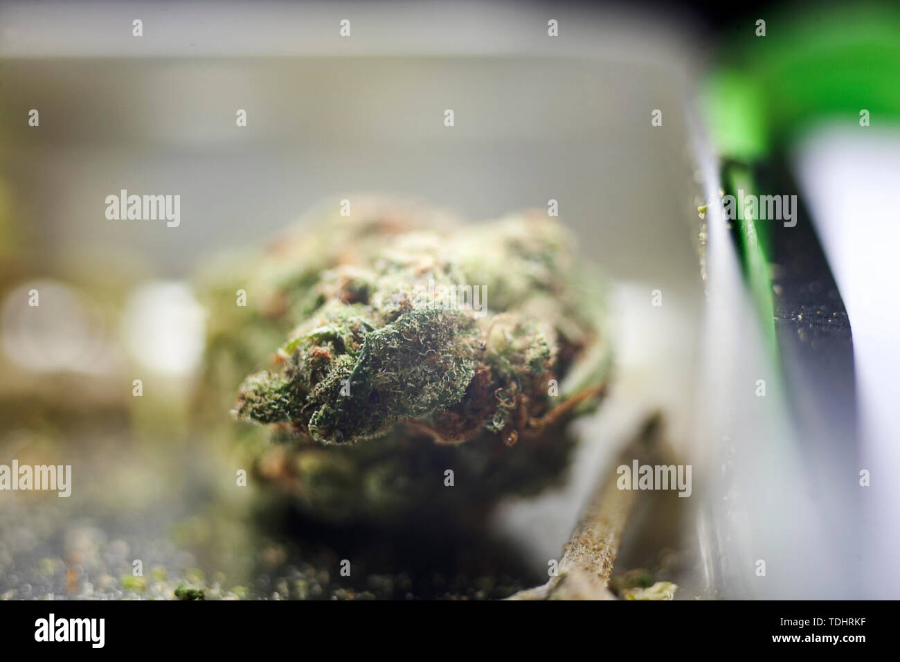 Le THC du cannabis médical macro fond fine art dans des impressions de haute qualité produits cinquante mégapixels imprime Banque D'Images