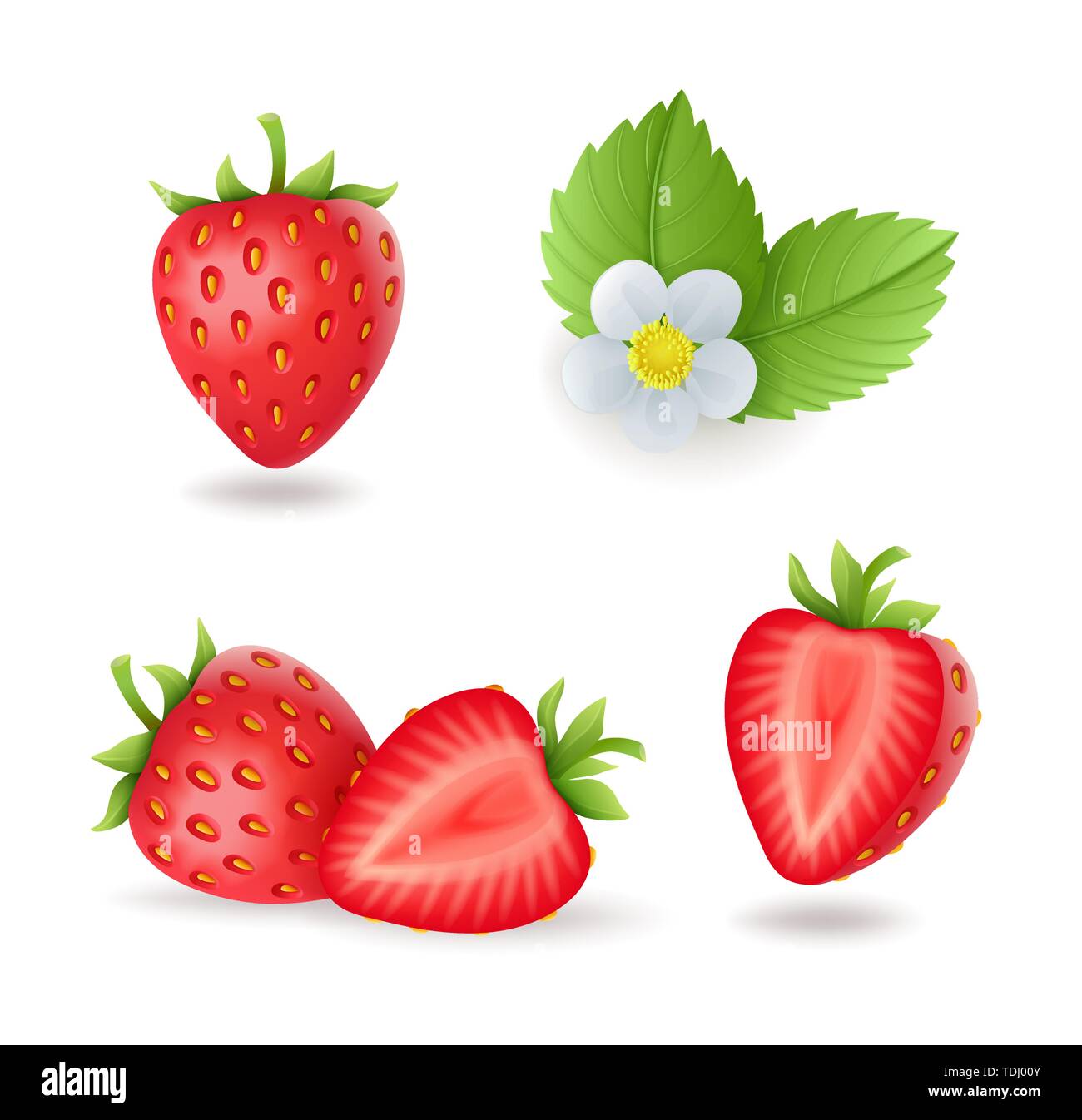 Jeu de fraises sucrées réaliste avec des feuilles et fleurs, petits fruits rouges frais, isolé sur fond blanc vector illustration. Illustration de Vecteur