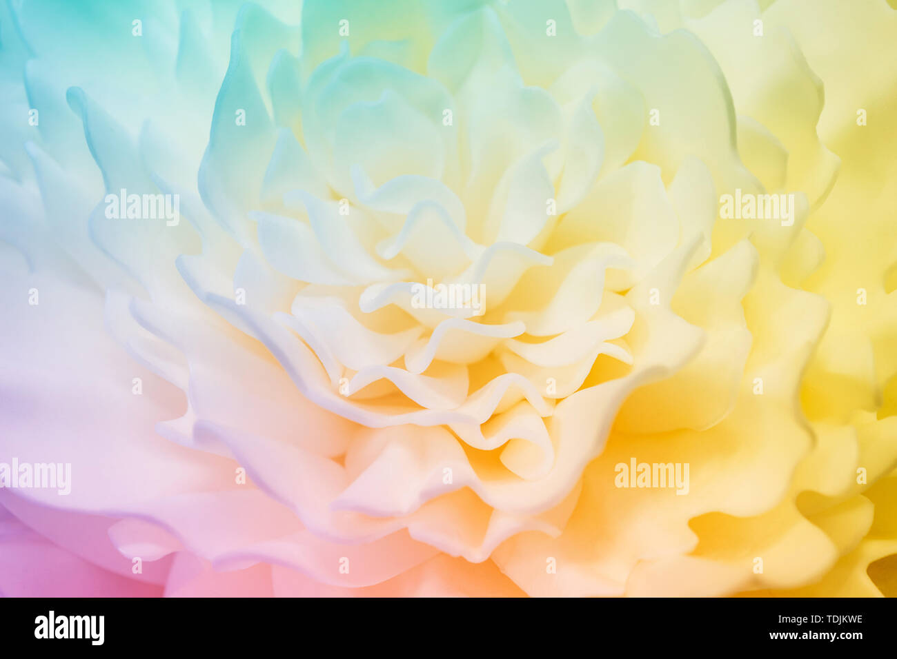 Belle fleur multicolore en matière synthétique Banque D'Images