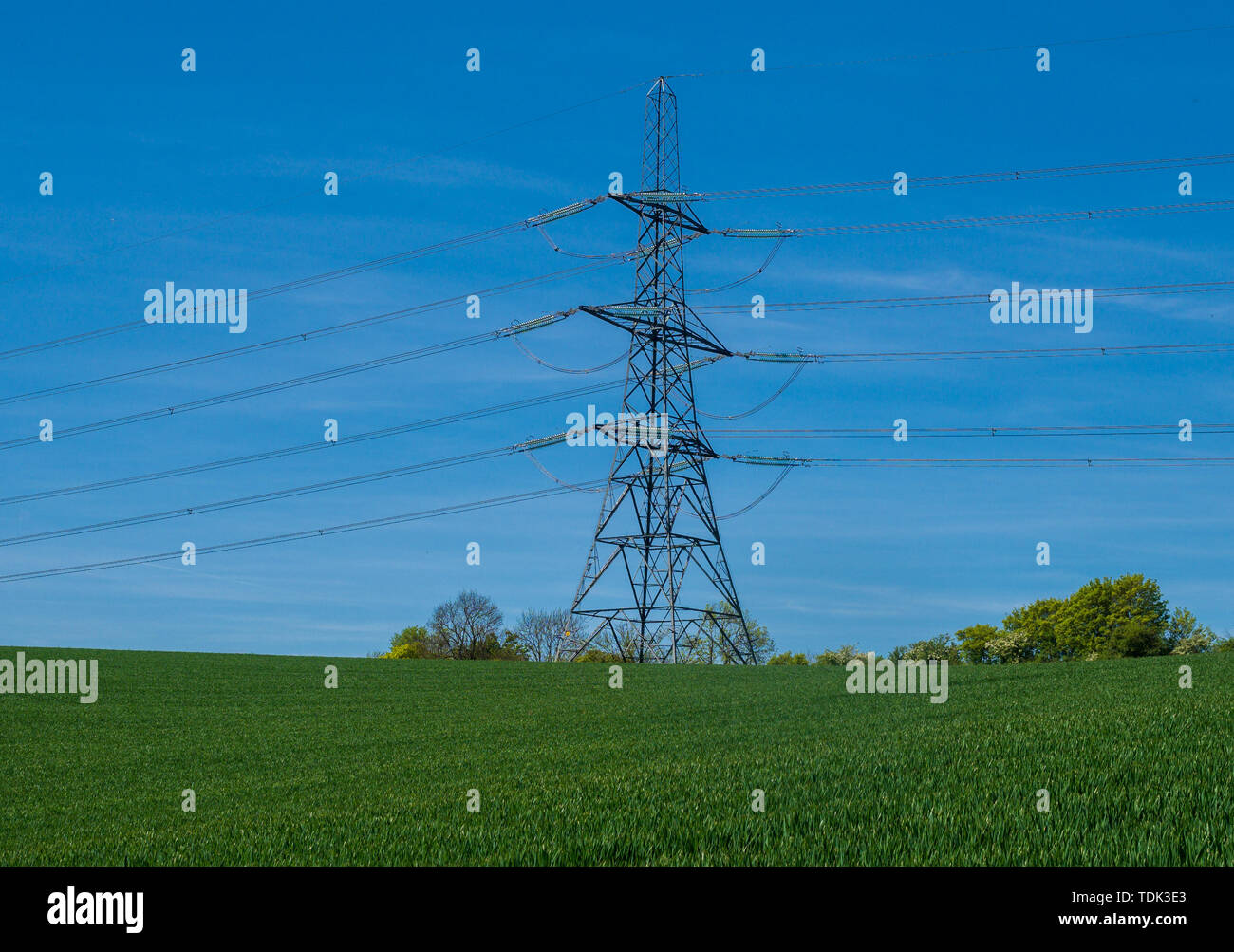 Les lignes de transport d'électricité et les champs de culture à travers des pylônes Banque D'Images