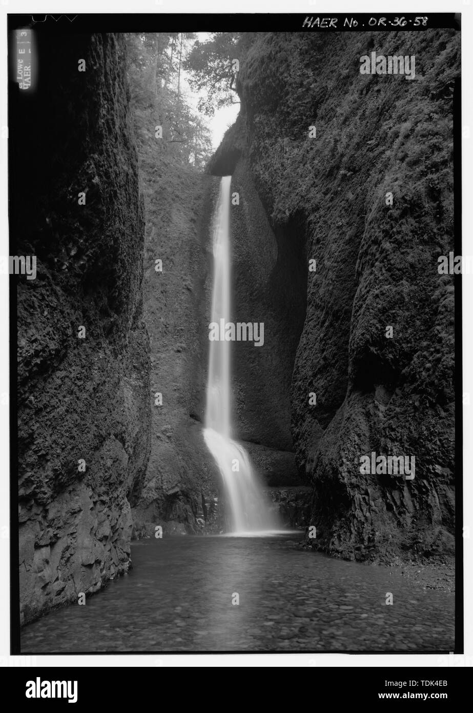 ONEONTA GORGE. Vue vers les chutes. - Historique de la rivière Columbia, l'autoroute, de Troutdale, comté de Multnomah, ou Banque D'Images