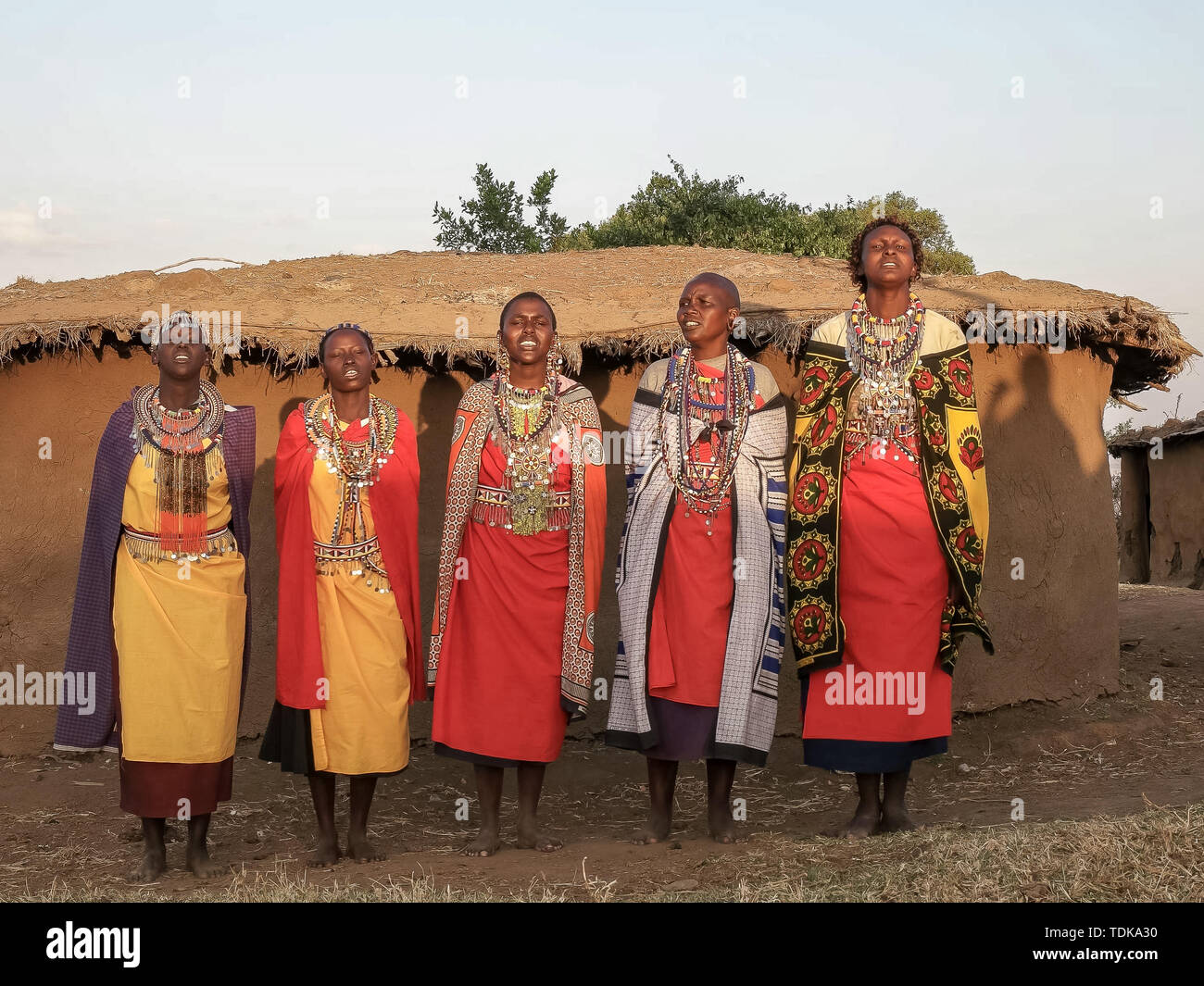Plan d'ensemble d'un groupe de femmes qui chantent en enkereri masai village près de Masai Mara, Kenya Banque D'Images