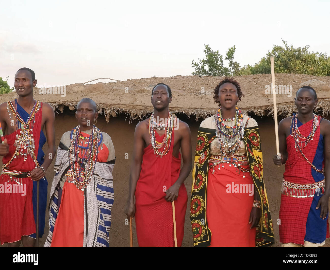NAROK, KENYA, 28 août 2016 : un groupe d'hommes et femmes maasai chantant et dansant dans un village près de Masai Mara, Kenya Banque D'Images