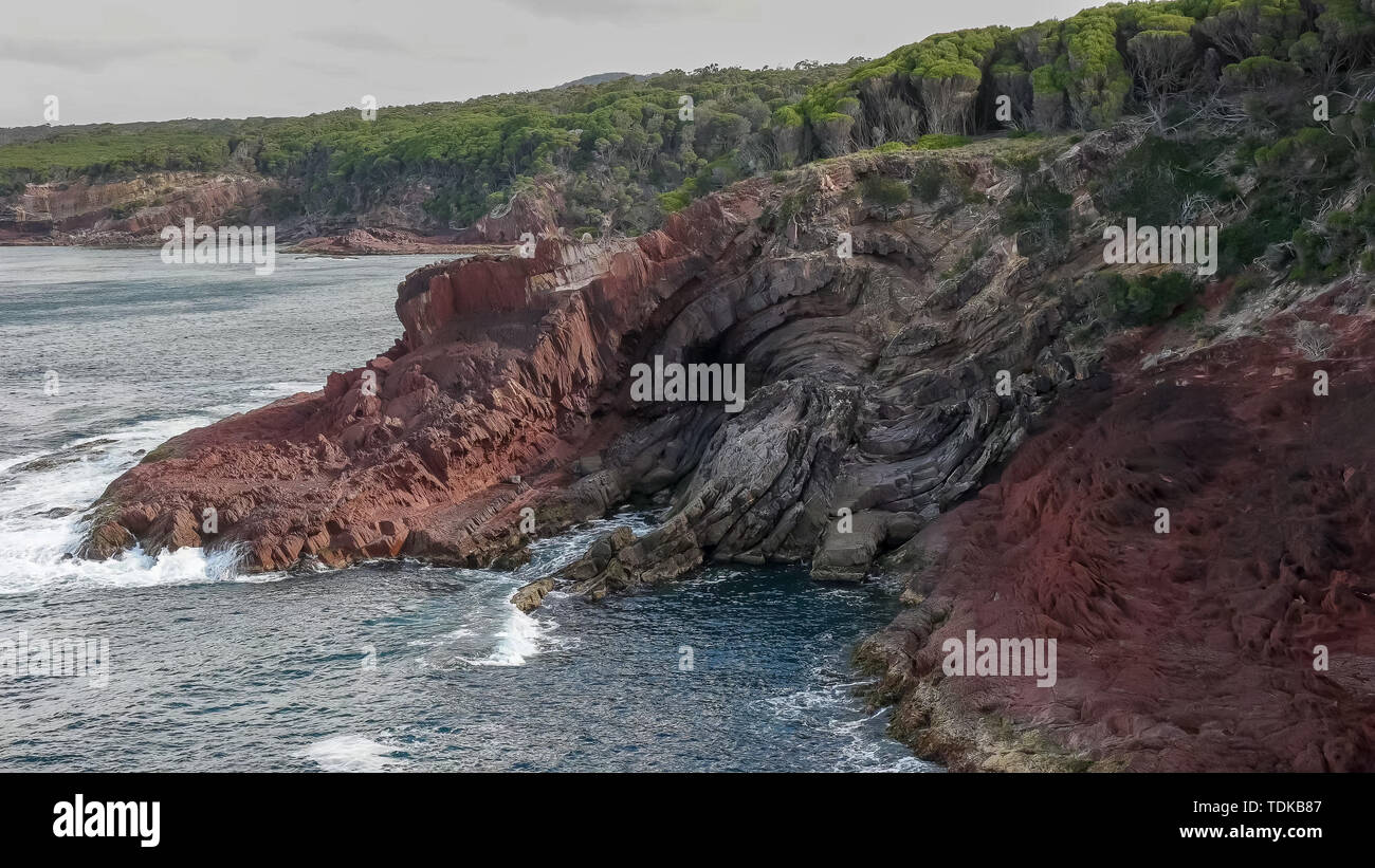 Un pli anticlinal dans la roche sédimentaire géologie de l'éden dans le NSW, Australie Banque D'Images