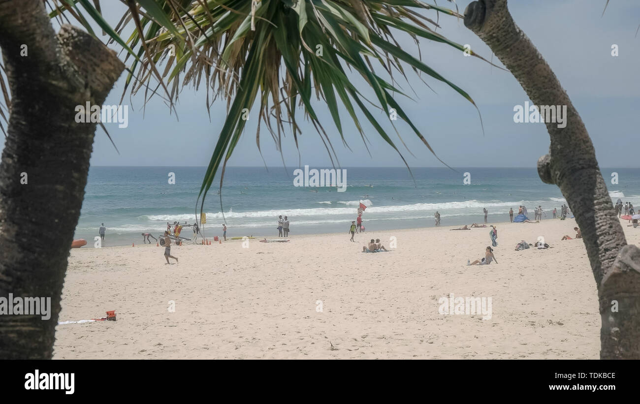 Long coup de main beach Surfers paradise encadrée par des plantes pandanus dans le Queensland, Australie Banque D'Images