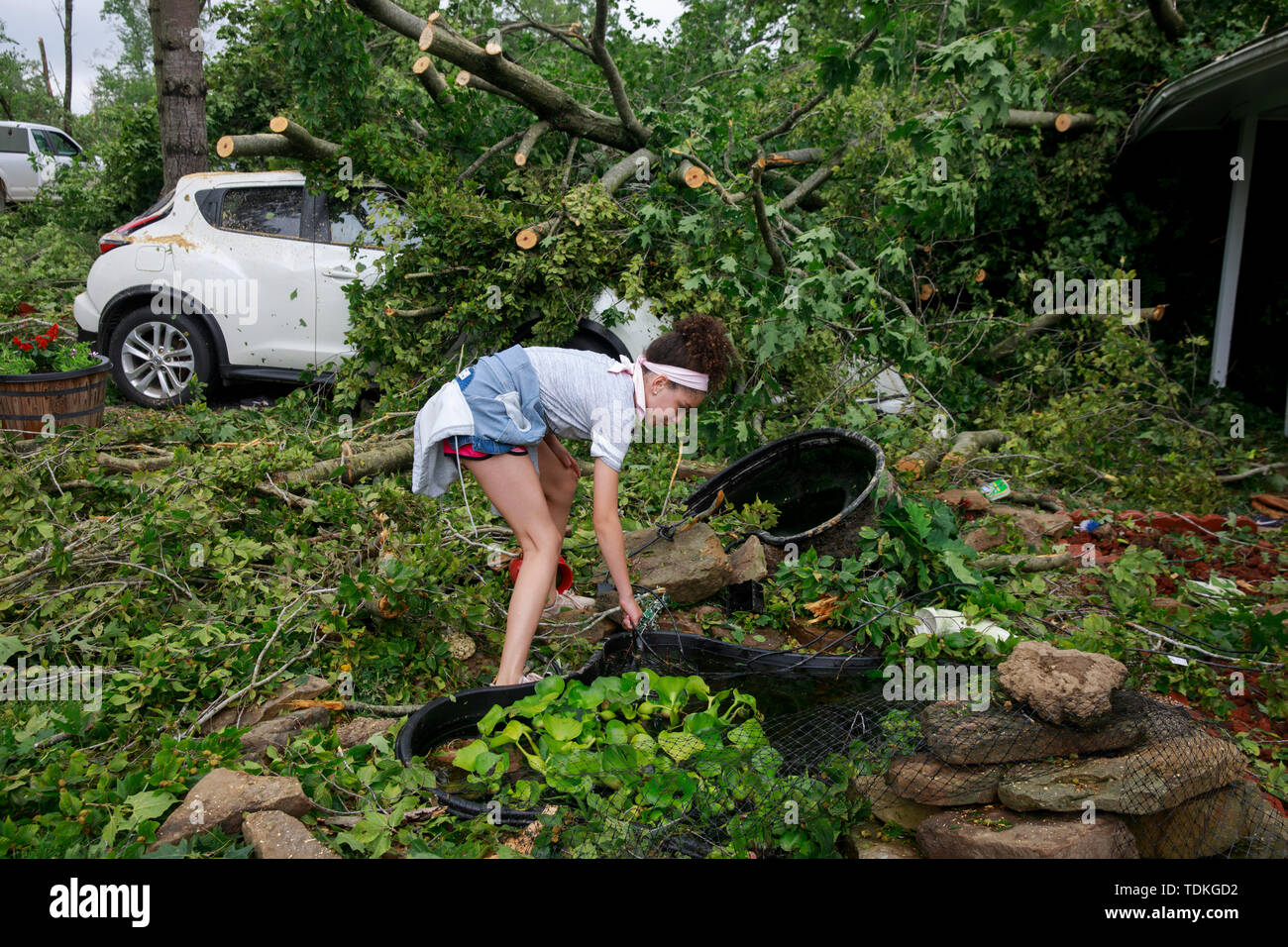 Ellettsville, Indiana, USA. 16 Juin, 2019. Khaliya Francke-Council récupère son poisson koi étang où 7 poissons sont introuvables, au cours de la foulée. Une tornade a frappé la région de quitter un patch de dommages de Greene County au Nord du comté de Monroe en détruisant les arbres, maisons, voitures, et en laissant un chemin de débris et de vivre des lignes électriques sur le terrain dans son service. Credit : SOPA/Alamy Images Limited Live News Banque D'Images