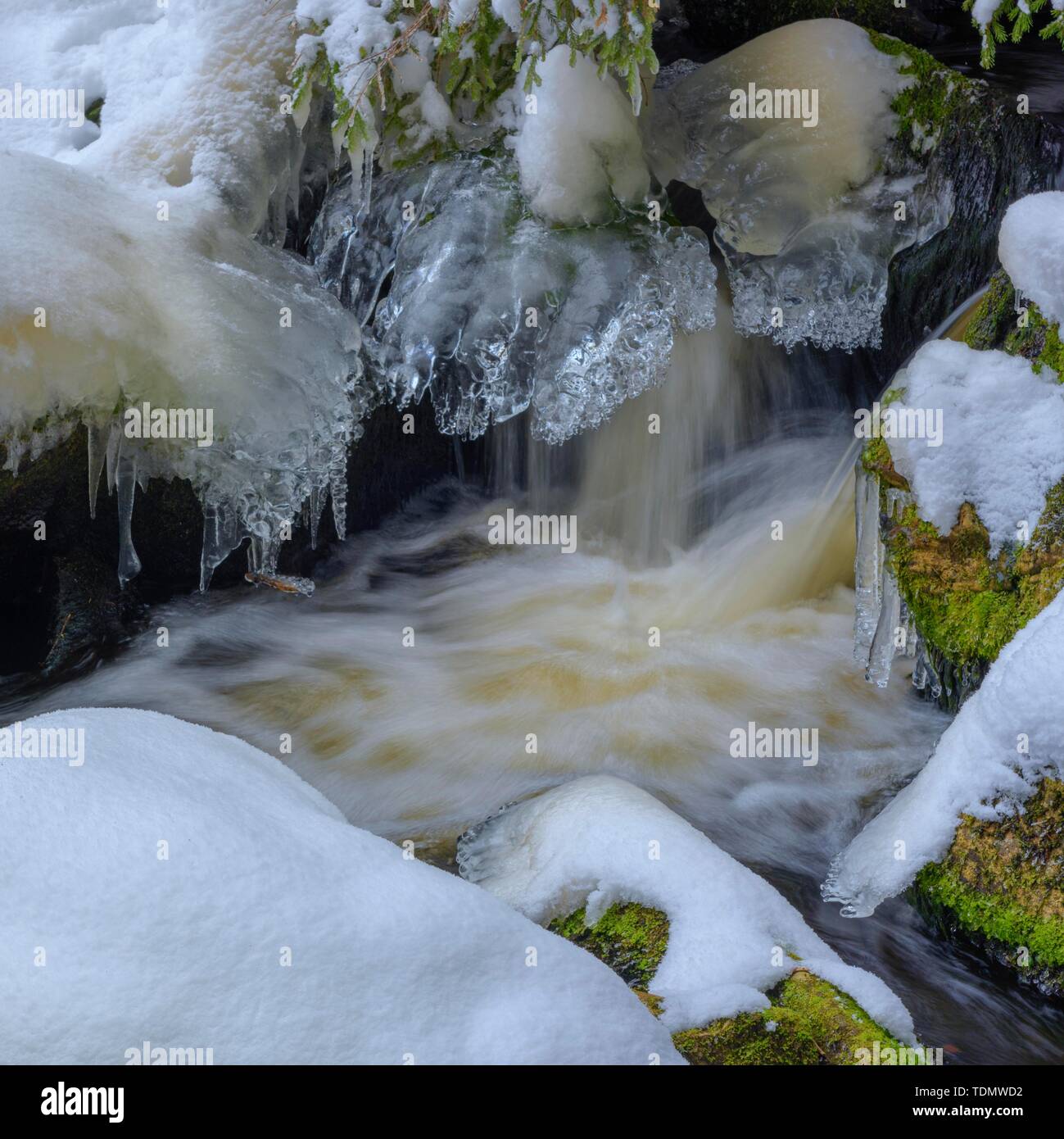 Fleuve sauvage avec de la glace et des pierres couvertes de neige en hiver, Hammerbach, longue exposition, Parc National de Sumava, forêt de Bohême, République Tchèque Banque D'Images