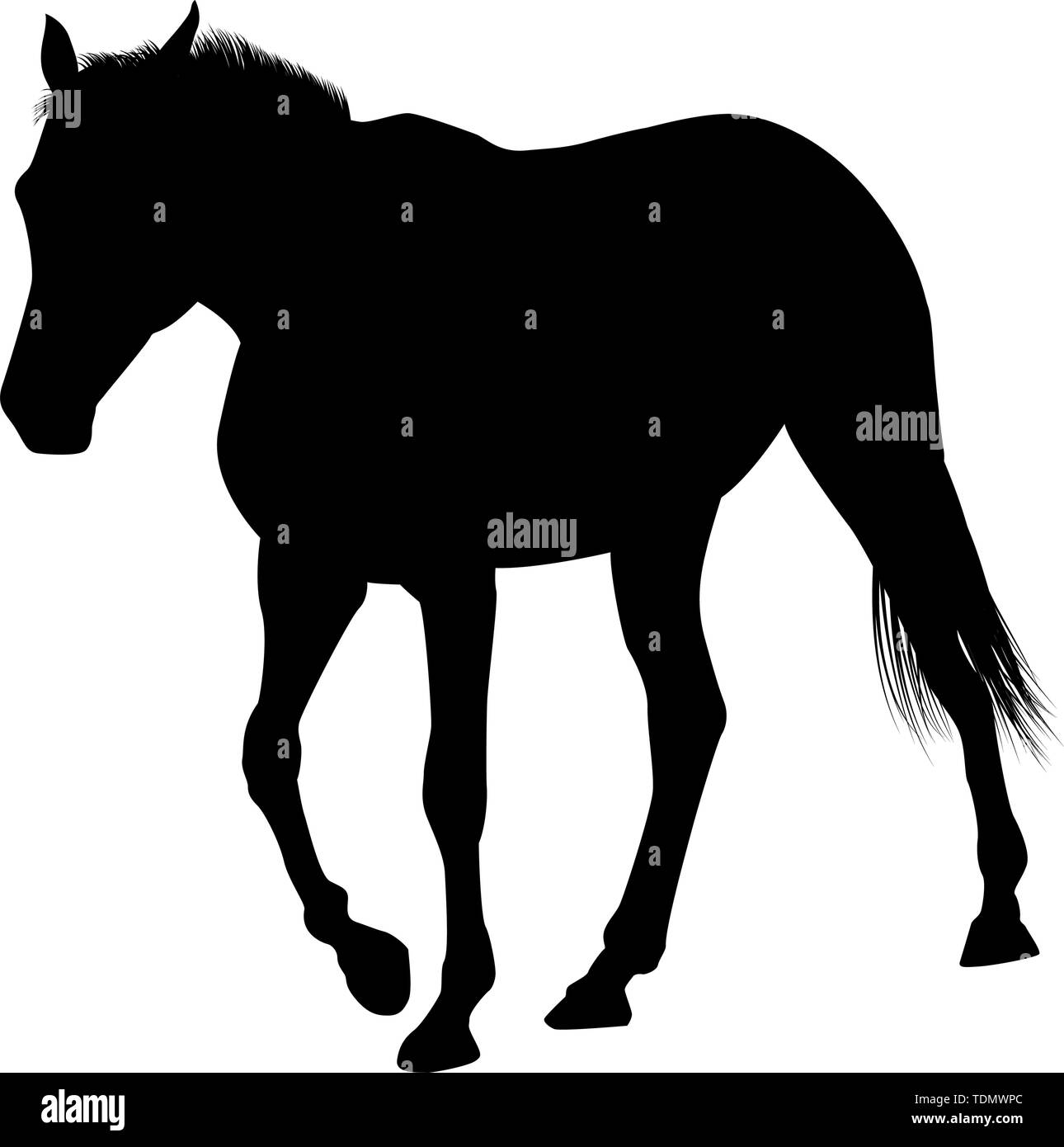 L'ossature. Lisse très détaillées. Vector Illustration. Illustration de Vecteur