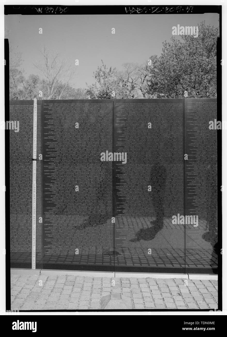 Décoratifs W30 et W29. - Vietnam Veterans Memorial, West Potomac Park, Washington, District of Columbia, DC Banque D'Images