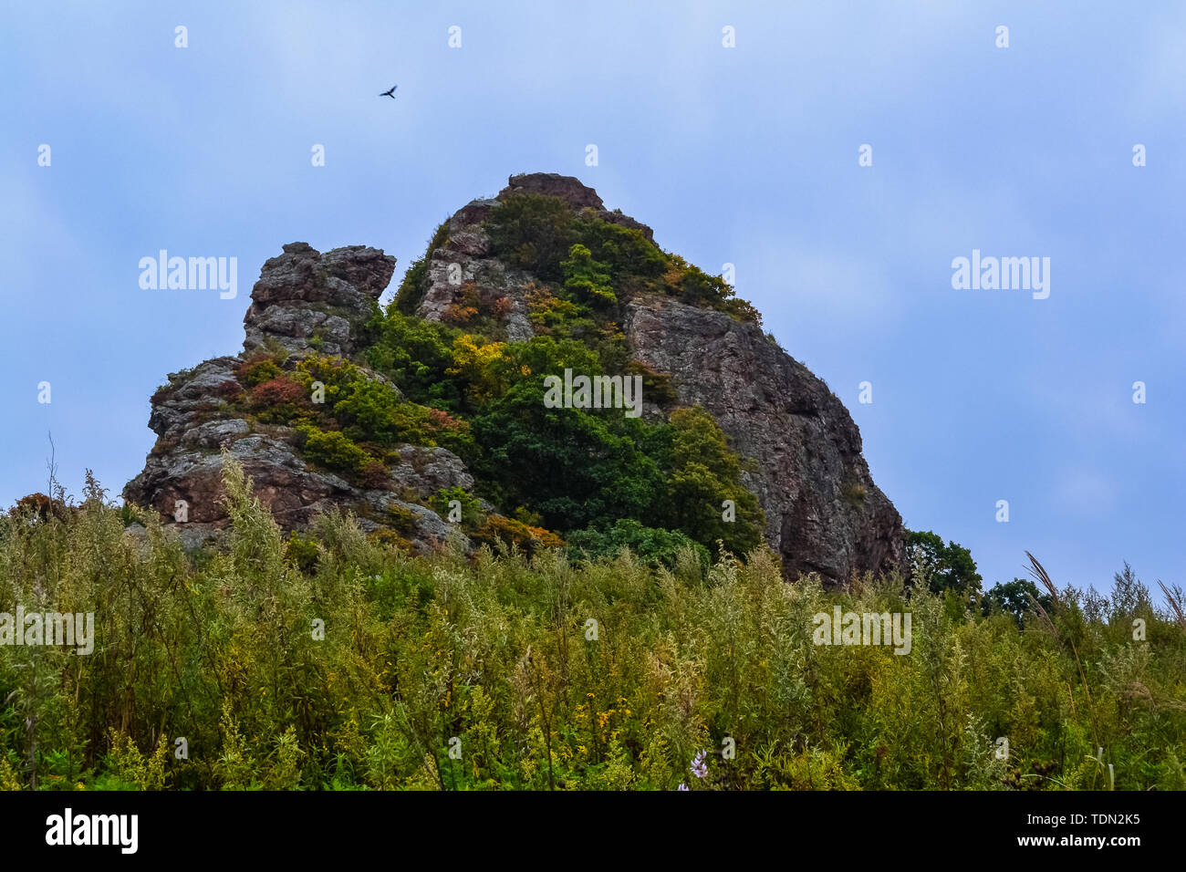 Beauté de la nature dans la région russe de Primorsky Banque D'Images