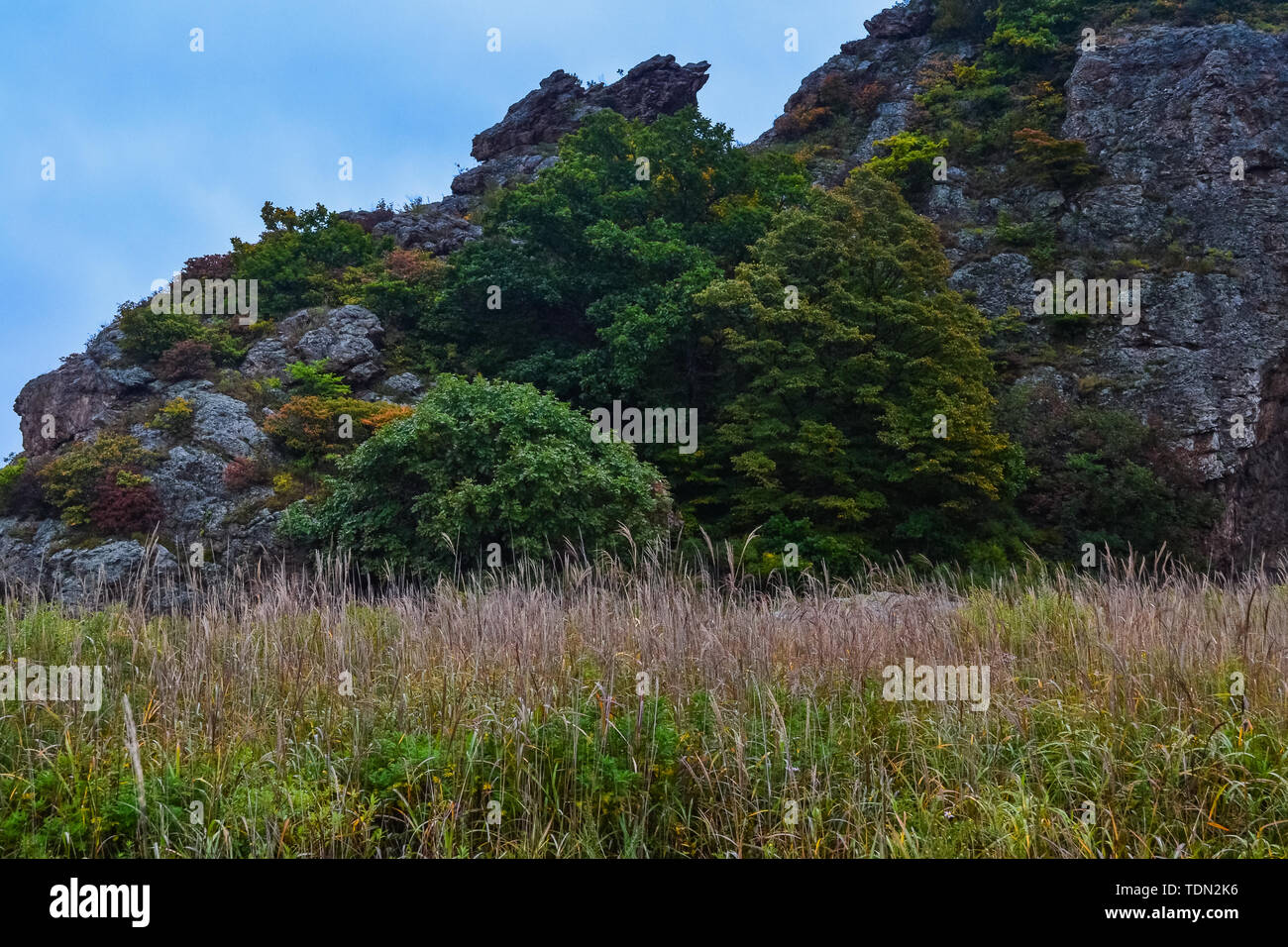 Beauté de la nature dans la région russe de Primorsky Banque D'Images