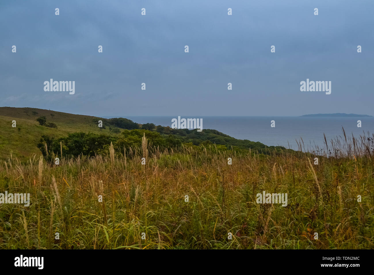 Beauté de la nature dans la région russe de Primorsky Banque D'Images