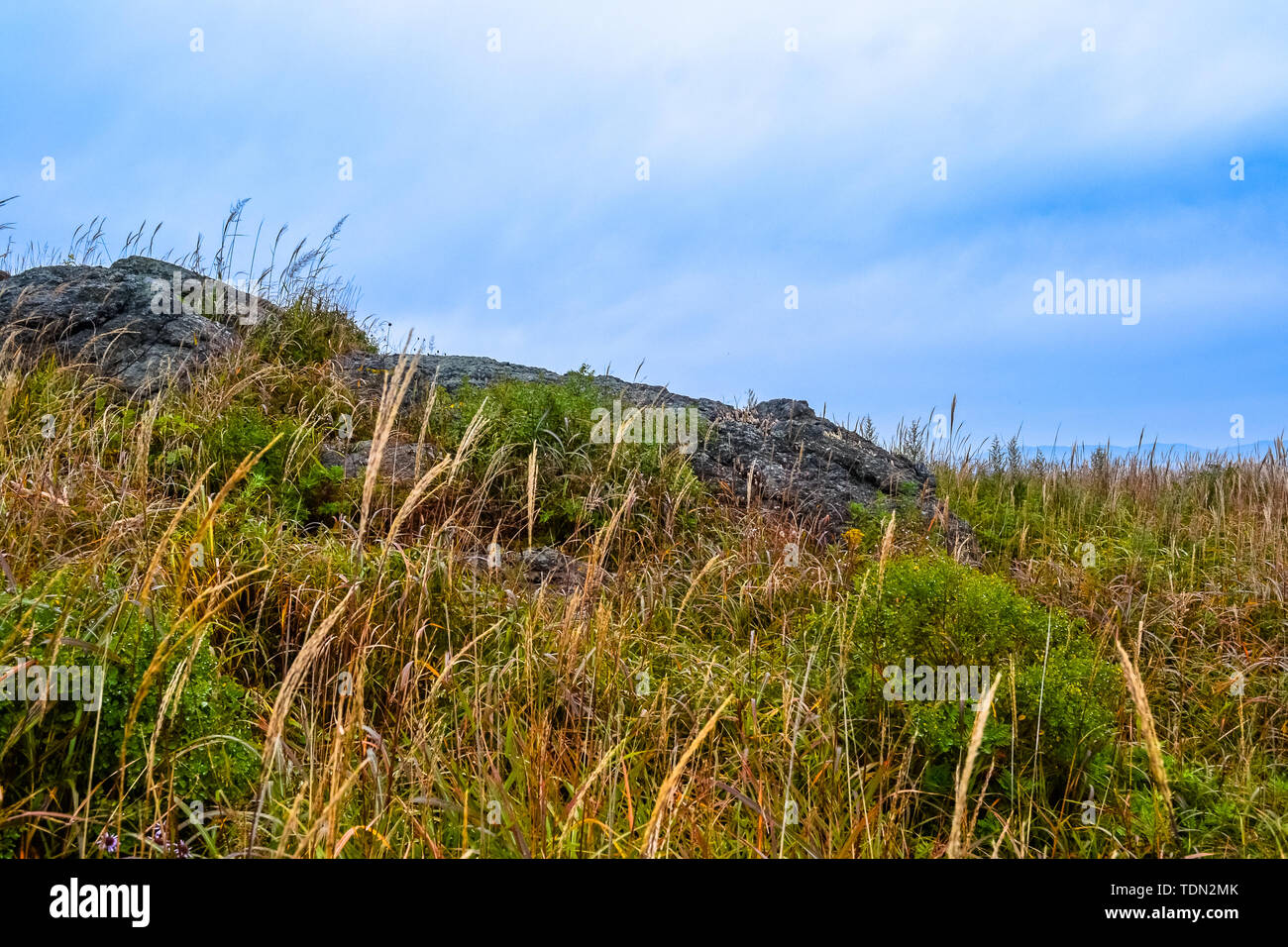 Beauté de la nature dans la région russe de Primorsky Banque D'Images
