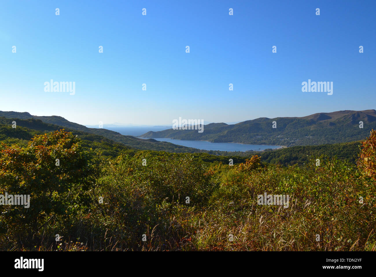 Beauté de la nature dans la région russe de Primorsky Banque D'Images