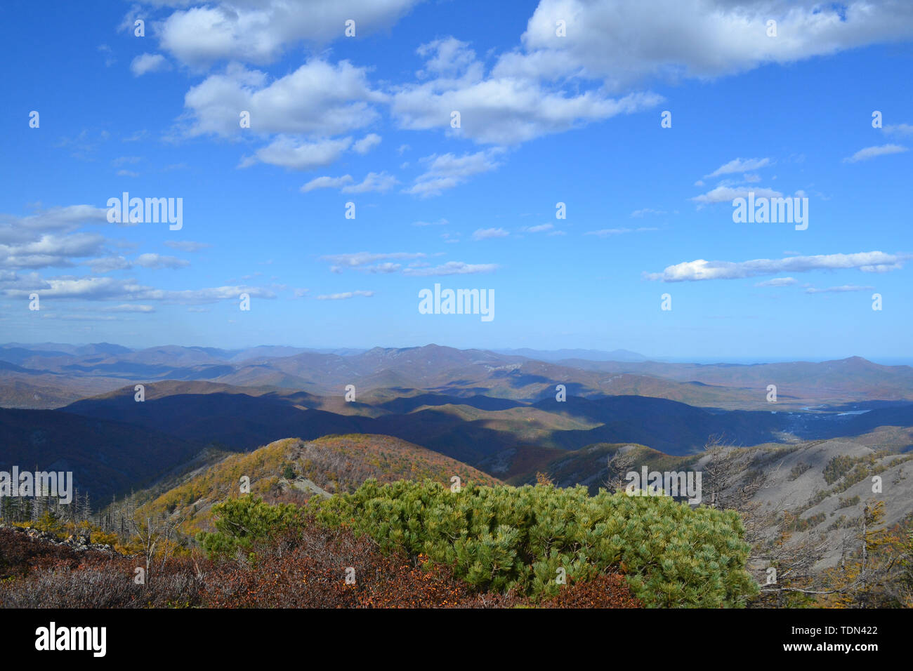 Beauté de la nature dans la région russe de Primorsky Banque D'Images