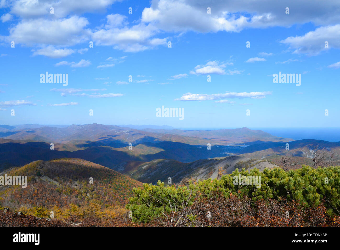 Beauté de la nature dans la région russe de Primorsky Banque D'Images