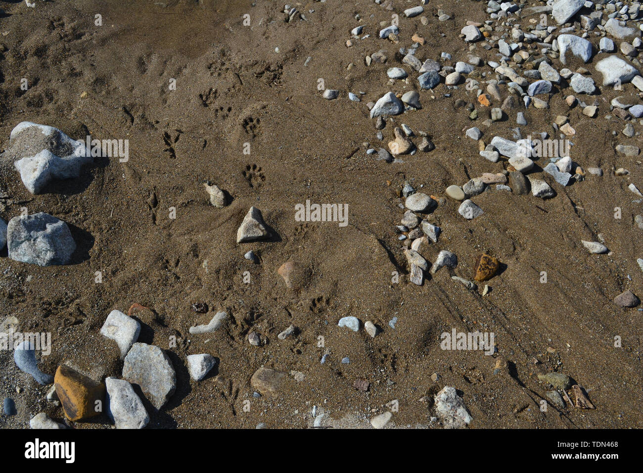 Beauté de la nature dans la région russe de Primorsky Banque D'Images
