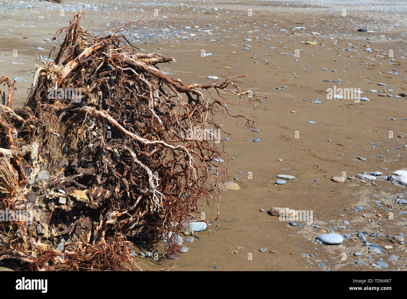 Beauté de la nature dans la région russe de Primorsky Banque D'Images