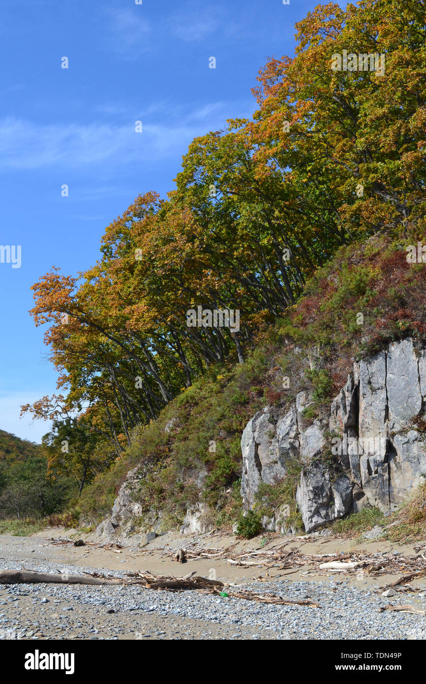Beauté de la nature dans la région russe de Primorsky Banque D'Images