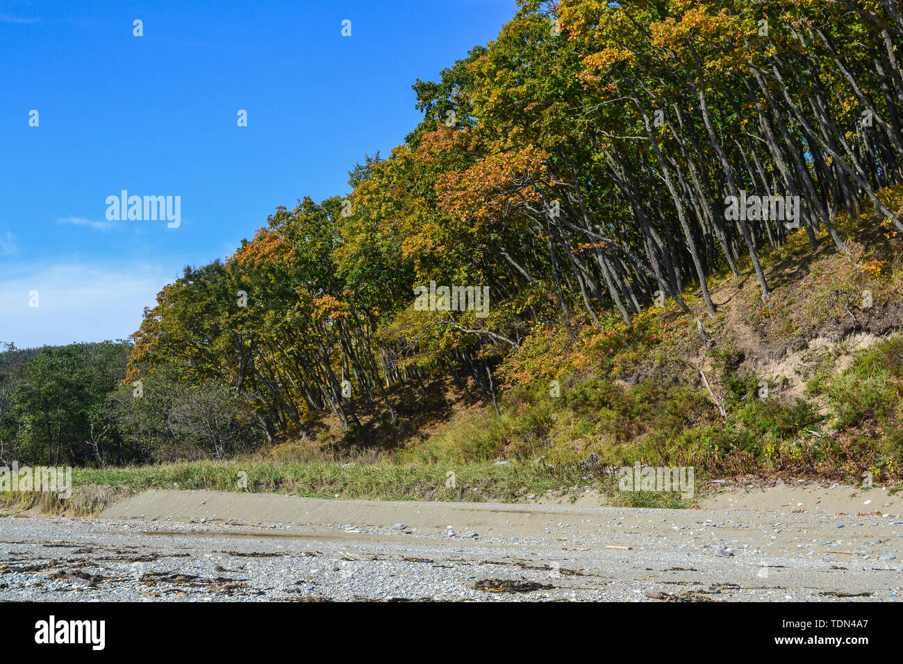 Beauté de la nature dans la région russe de Primorsky Banque D'Images