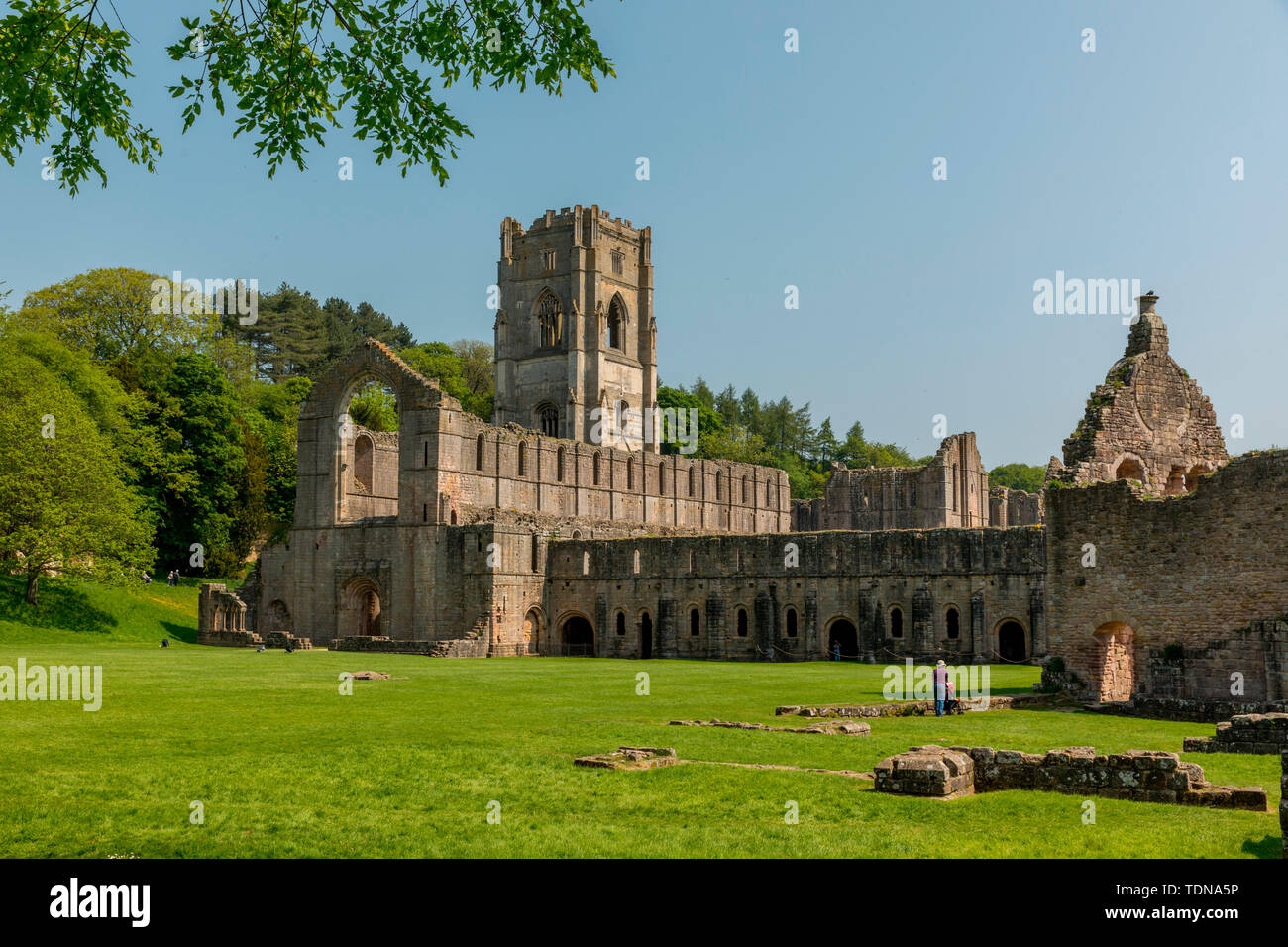 L'abbaye de Fountains, Yorkshire Dales NP, Yorkshire, UK Banque D'Images