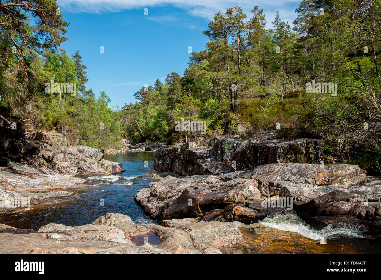 Glen Affric, Highlands, Scotland, UK Banque D'Images